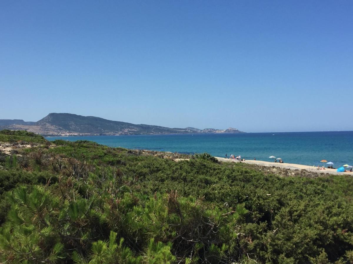 Carrabean Sea In The North Of Sardegna, With Swimming Pool Villa Viddalba Exterior photo